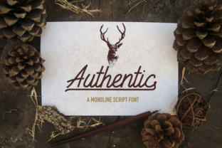 Authentic Font: Elevate Your Brand Identity