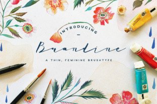 Brandine Typeface: Elevate Your Campaign Visuals