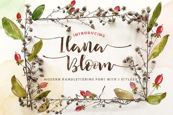 Ilana Bloom Typeface Review for Modern Campaigns