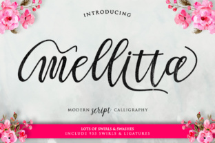 Mellitta Script: A Handwritten Typeface for Editorial Warmth