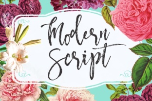 Modern Script Font: A Designer’s Branding Story