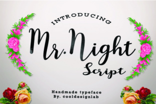 Mr. Night: A Handmade Script Font for Modern Web Design
