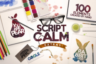 Script Calm Typeface for Brand Identity