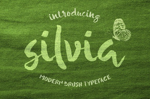 Silvia Typeface Review for Campaign Design